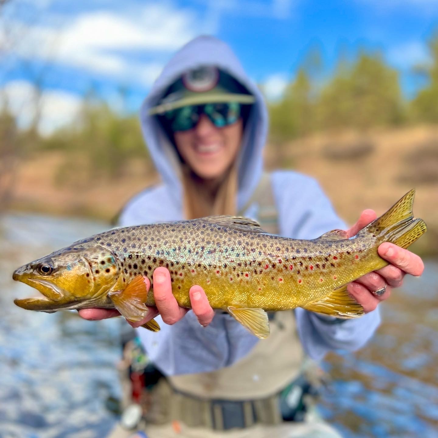 Fly of the Week with @anna_on_the_fly | Slim Shady Baetis